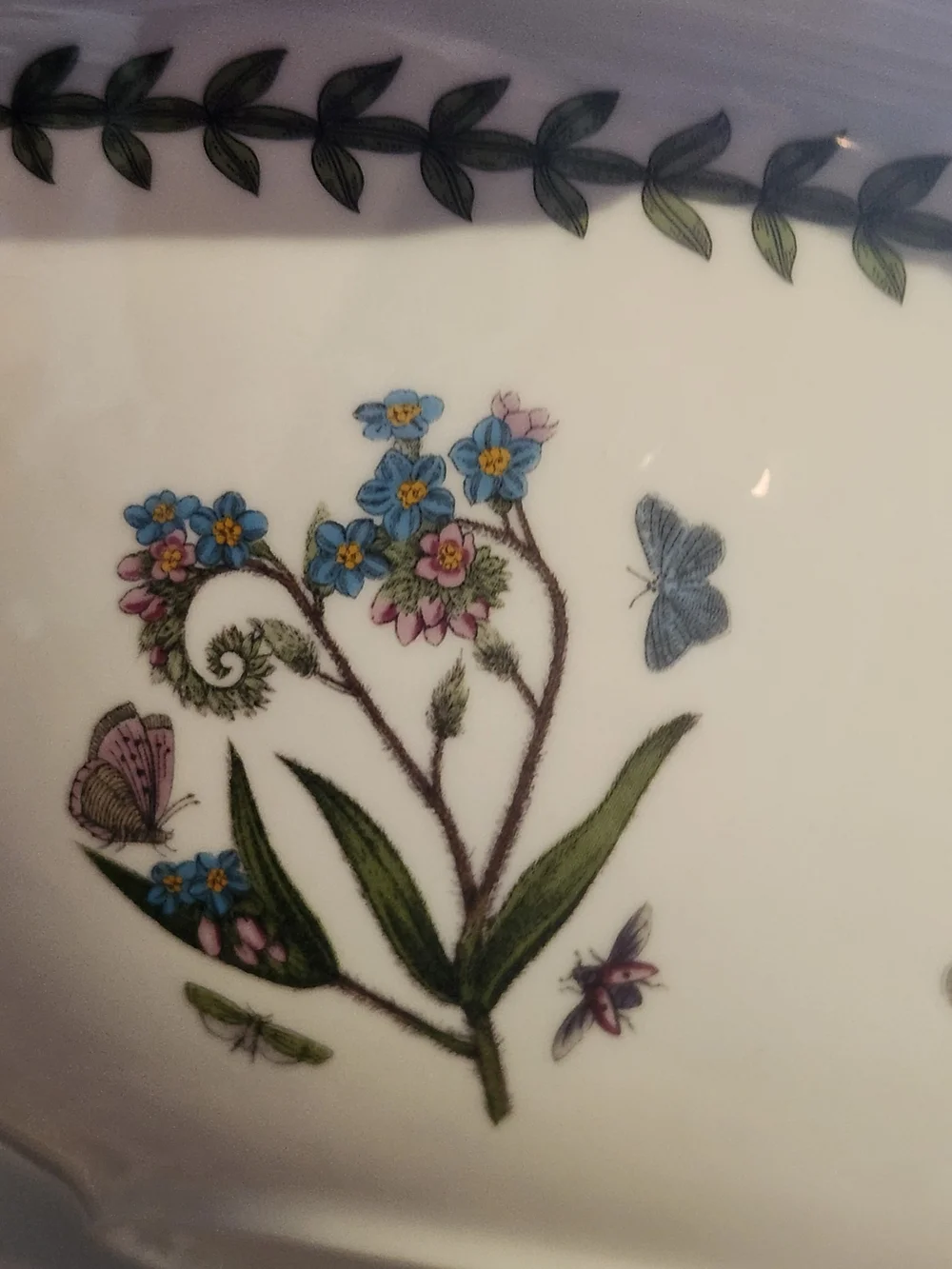 Portmeirion Botanic Garden Clematis Florida Oval 4pt / 2.3L Casserole w Lid NIB